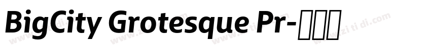 BigCity Grotesque Pr字体转换 BigCity Grotesque Pr字体转换
